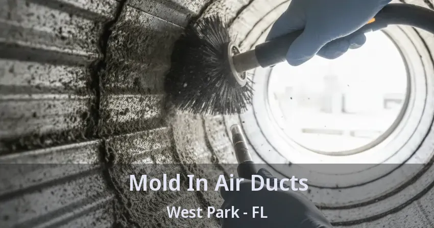 Mold In Air Ducts West Park - FL