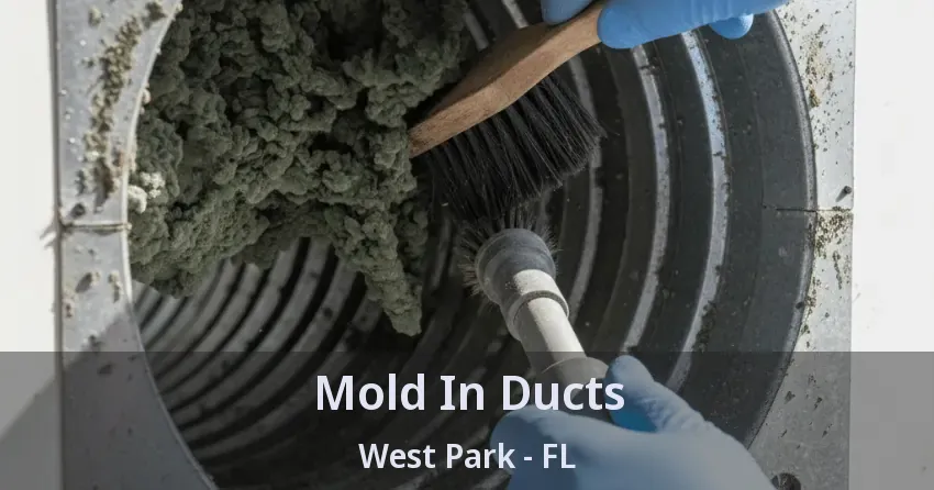 Mold In Ducts West Park - FL