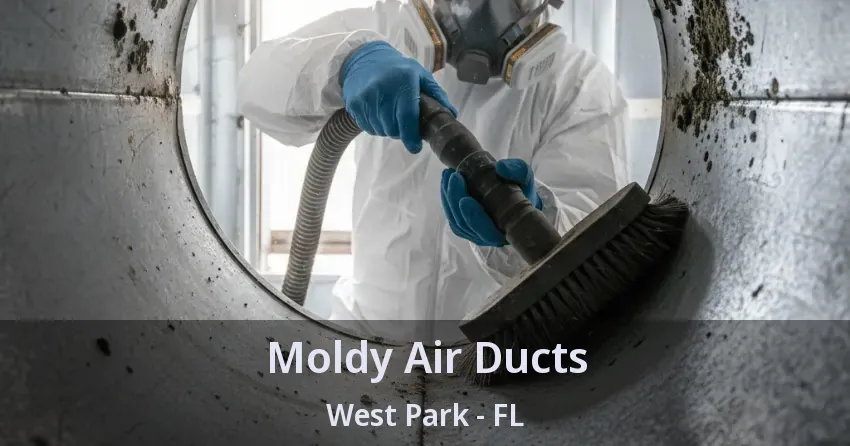 Moldy Air Ducts West Park - FL Moldy Air Ducts West Park - FL
